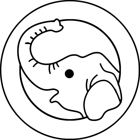 Elly Trunk logo
